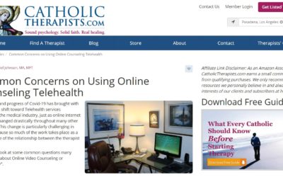 Common Concerns on Using Online Counseling Telehealth